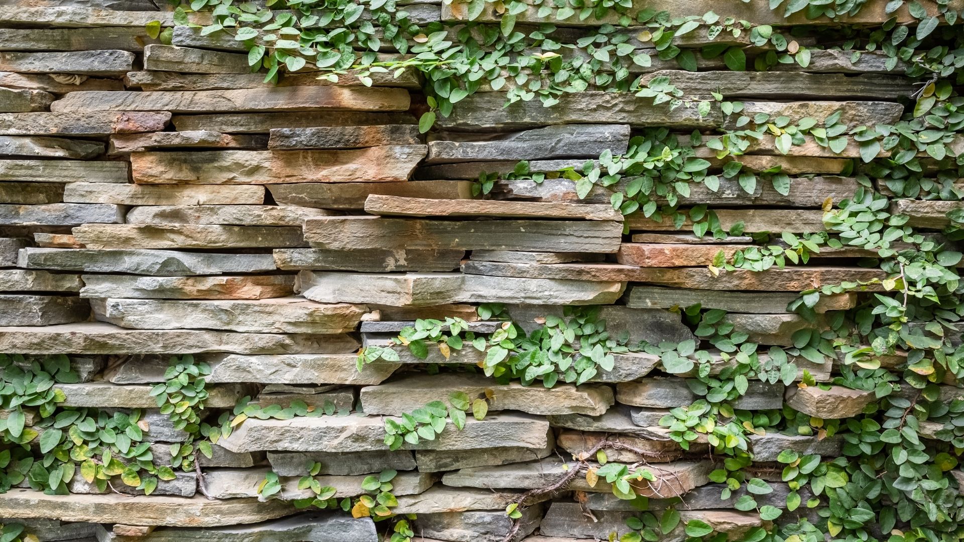 Doğal Taş Kaplama Yapımı